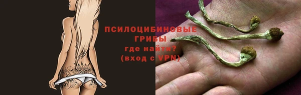 мет Снежинск